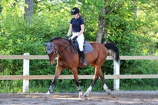 Learning to Sit the Trot