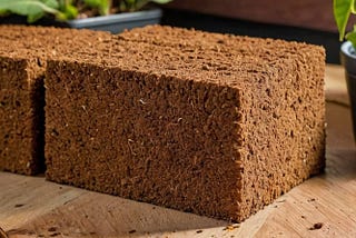 Coco-Coir-1