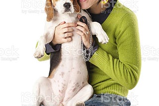 Beagle: Dog Breed Characteristics & Care