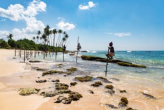 An Artist’s Guide to the Southern Coast of Sri Lanka