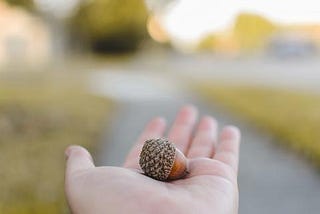 Why You Should Give Your New Grad an Acorn
