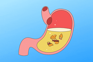 A cartoon GIF of a stomach—or some may say the “gut”—digesting a hamburger.