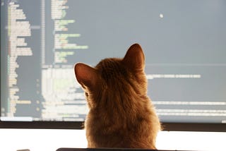 Vibe Coding — Microsoft Week 🚀