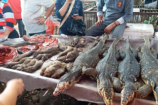 CALLS FOR BAN ON WILDLIFE MARKETS IN CHINA