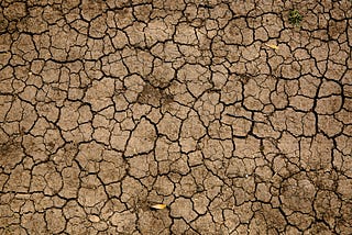 The World’s Biggest Problem: Soil Degradation