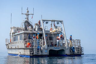 Decision-Making Under Pressure during My PhD: Lessons from whale songs and ocean noise