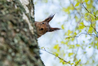 The Quiet Power of Curiosity