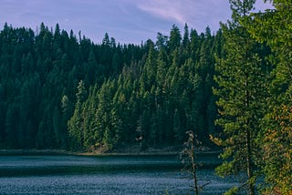 A lake and a forest in which witches might live