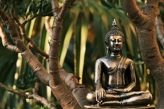 Rest is Reset in Every Dimension