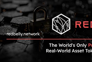 What is Redbelly Platform? (New RWA Project)