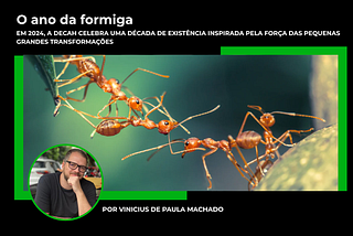 2025, O Ano da Formiga