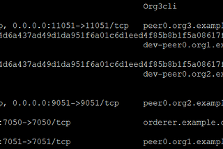 Ledger Snapshots in Hyperledger Fabric -2.3