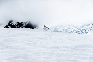 WHAT MAKES THE ANTARCTIC SO IMPORTANT?