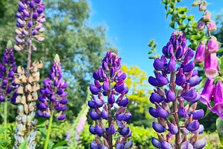 Words for the Weekend ~ 17/05/25