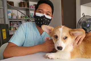A vet tech poses with a corgi in a veterenary office.