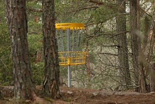 Two Hundred Rounds of Disc Golf