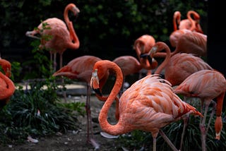 It’s strange how silence can feel like someone’s voice.