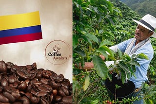 Everything You Need to Know about Colombian Coffee