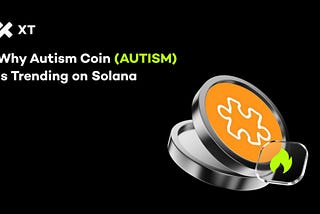Autism Coin Explained: A Look at the Solana Meme Market