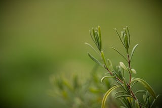 Natura Traumei Este Subiectiva Si Se Hraneste Din Evitare