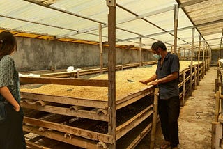 Breaking Barriers for Indonesian Coffee Farmers amid the Pandemic