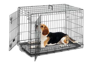 Dog Crates (Indoor Dens) — Training Canine at Home