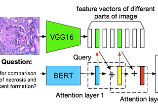 PathVQA: Pathology Visual Question Answering