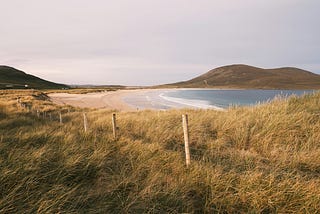 Photo of a fence, high grass, and a beach in the distance