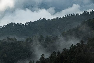 Mist. Mussoorie. Magic.