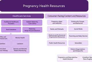 Expecting & Informed: A Map of Pregnancy Health Resources