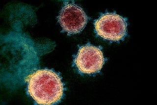 An analysis of the coronavirus in the UK from 2020 to 2024