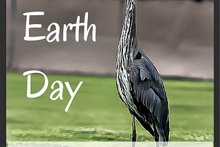 Earth Day 2024 — Sustainable Living