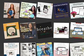 Bundle Alert: Ditch the Job, Be a CEO Bundle