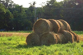 haystack in a field of green