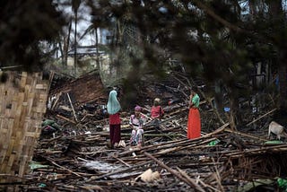 Mālama Labs: Scaling Trustworthy, Nature-Based Carbon Removal Through Regional Markets