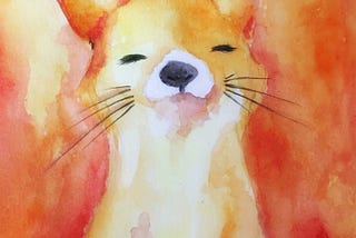 Release your inner Fox — upgrade & design competition