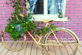 A picture of a bicycle adorned with green leaves at the front and seat area. The bicyle is leaning against a pink color wall with a window with drapes open.