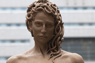 Medusa; Misunderstood