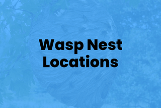 Wasp Nest Locations