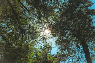 Poem at Summer’s End
