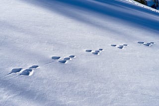 OpenTelemetry in .NET 10: The Instrumentation Gap That Makes Your Traces Useless