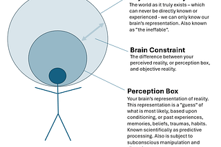 A Short Guide to Perception Box and Waking Up