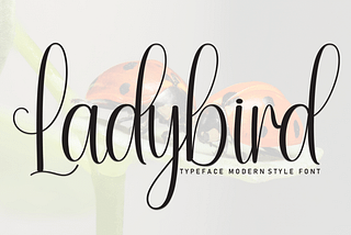 Ladybird Font