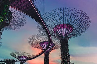 vibrant cities