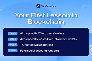 Your First Lesson in Sui Blockchain: What Every Newcomer Should Know from SuiVision.xyz