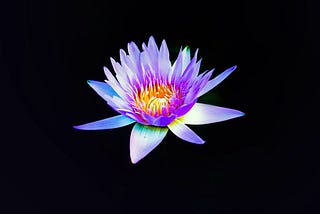 Blue Lotus: The Power of a (Helping) Hand