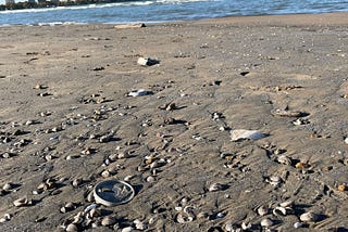 Chicago’s Beach and Water Conservation Projects Fight Off Eco-Anxiety