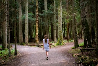 A person walking away from the viewer toward a fork in the road surrounded by trees. “Two roads diverged in a wood…”