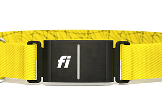 “Hardware is Hard!” — Interview with Fi, The Smartest Dog Collar