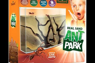tigerific-ant-farm-for-live-ants-ant-colony-for-kids-great-science-kit-for-children-ant-habitat-set--1